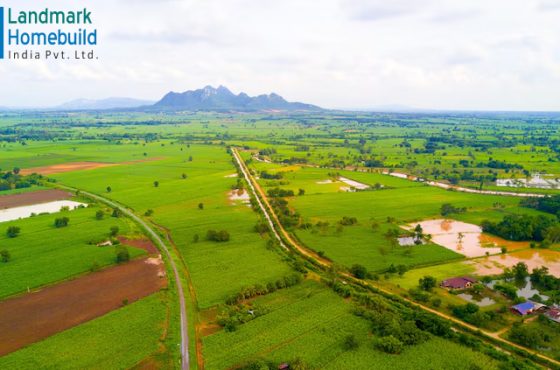 Plots Near Gajraula vs Nearby Townships: Which Offers Better ROI?